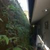 Pas beaucoup d'espace le long de la maison